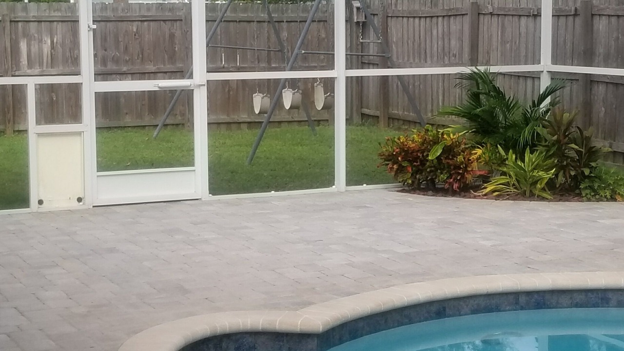 Photo of Others in Apollo Beach
