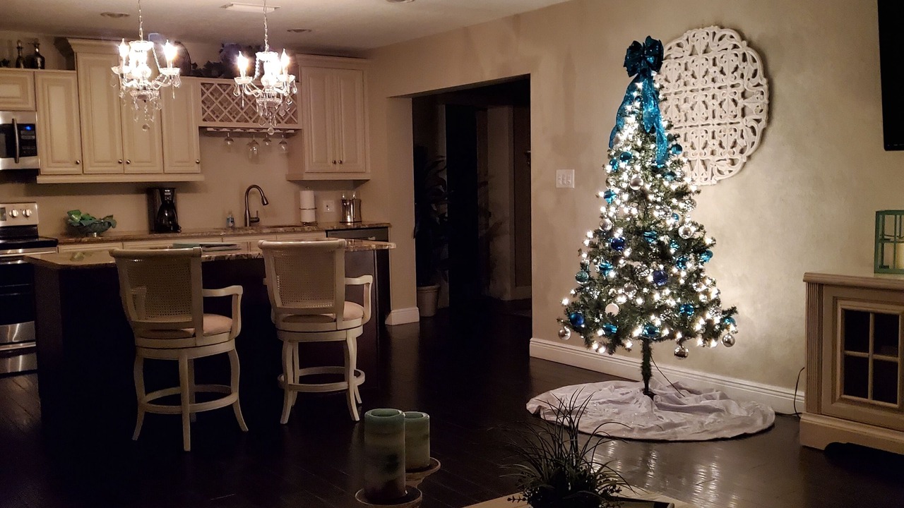 Photo of Kitchen in Apollo Beach