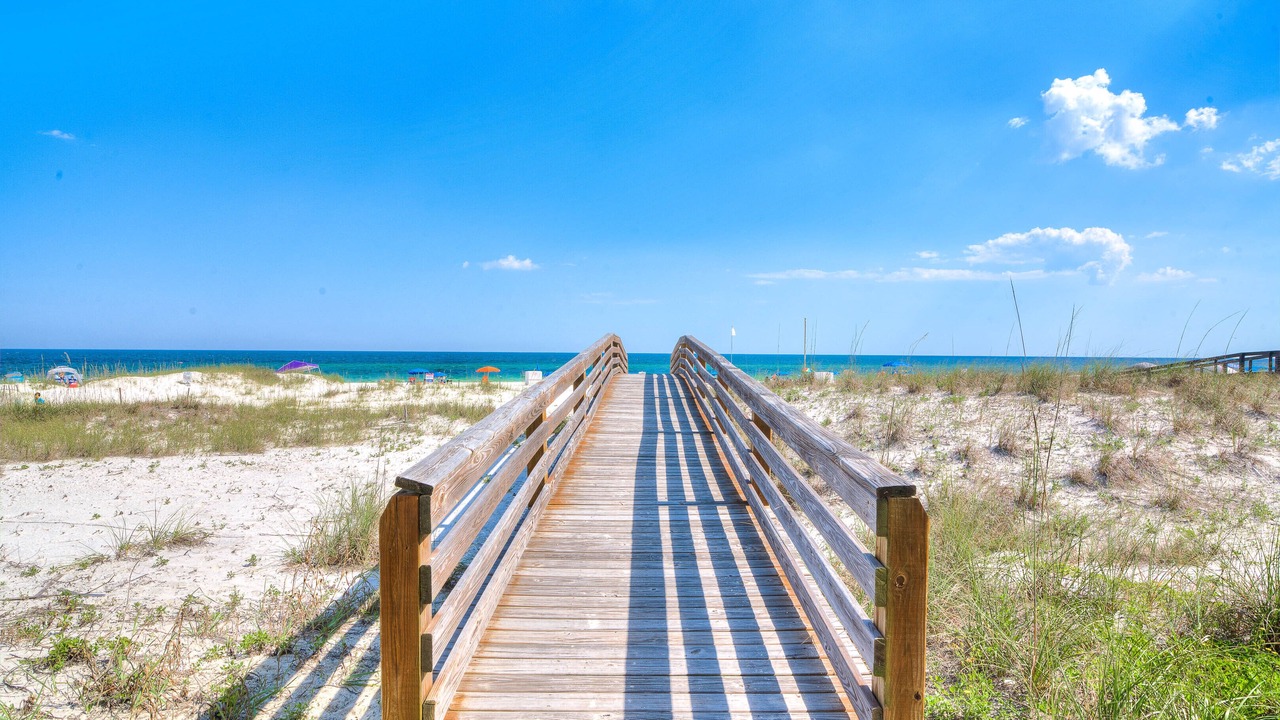 Photo of Others in Orange Beach