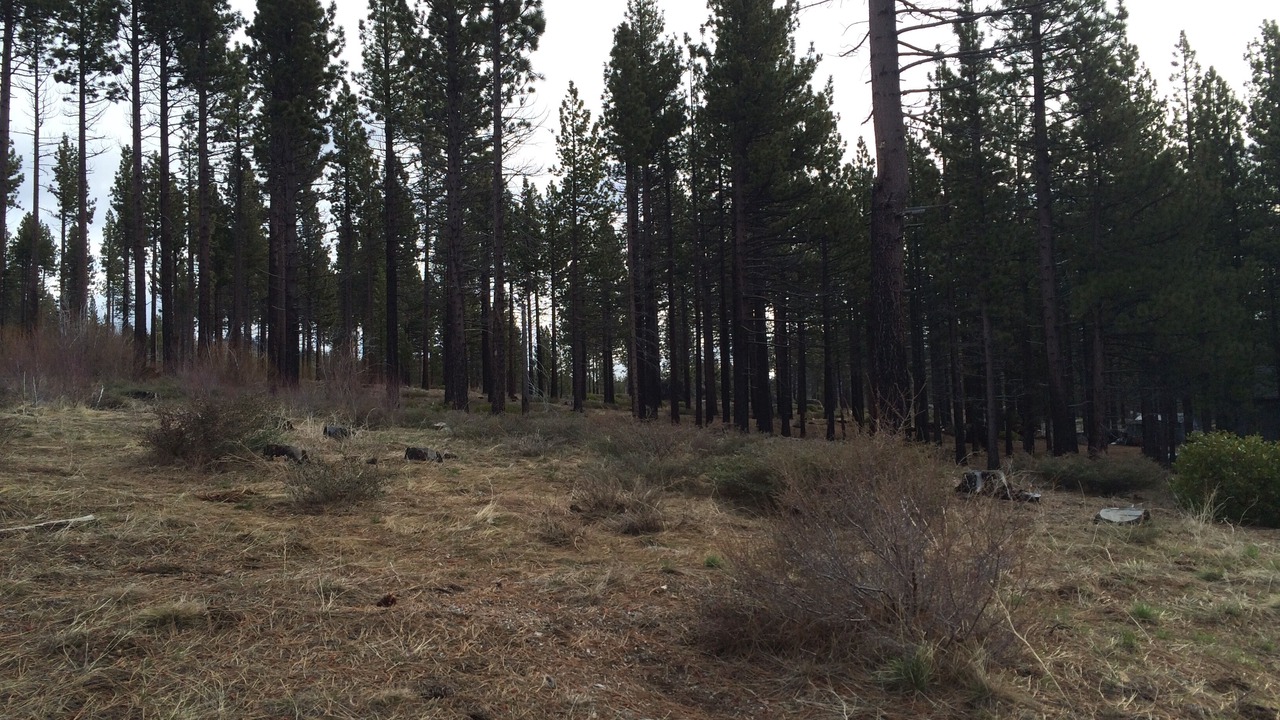 Photo of Outdoor in Mountain View Estates