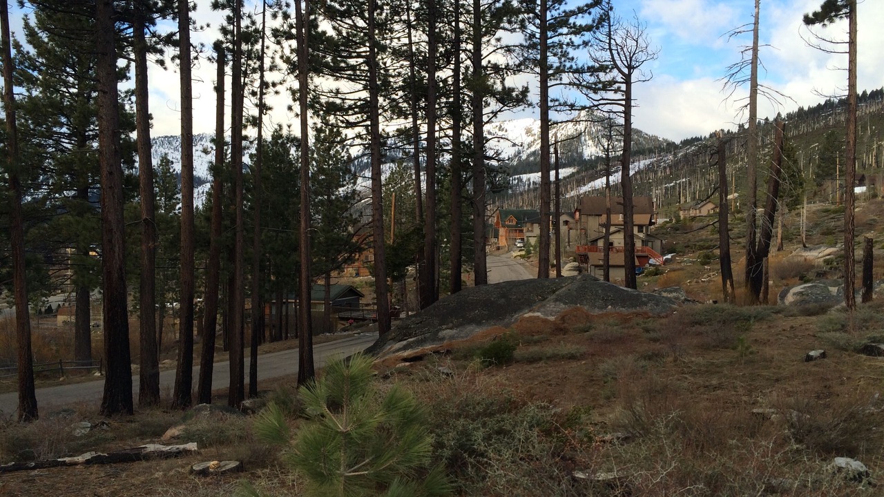 Photo of Outdoor in Mountain View Estates