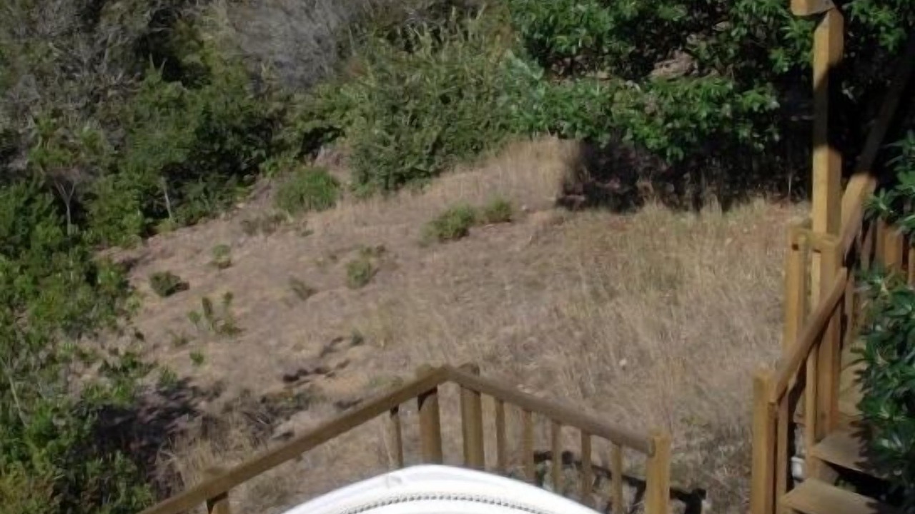 Photo of Others in Point Reyes Station