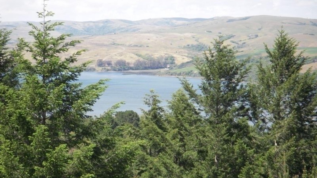 Photo of Outdoor in Point Reyes Station