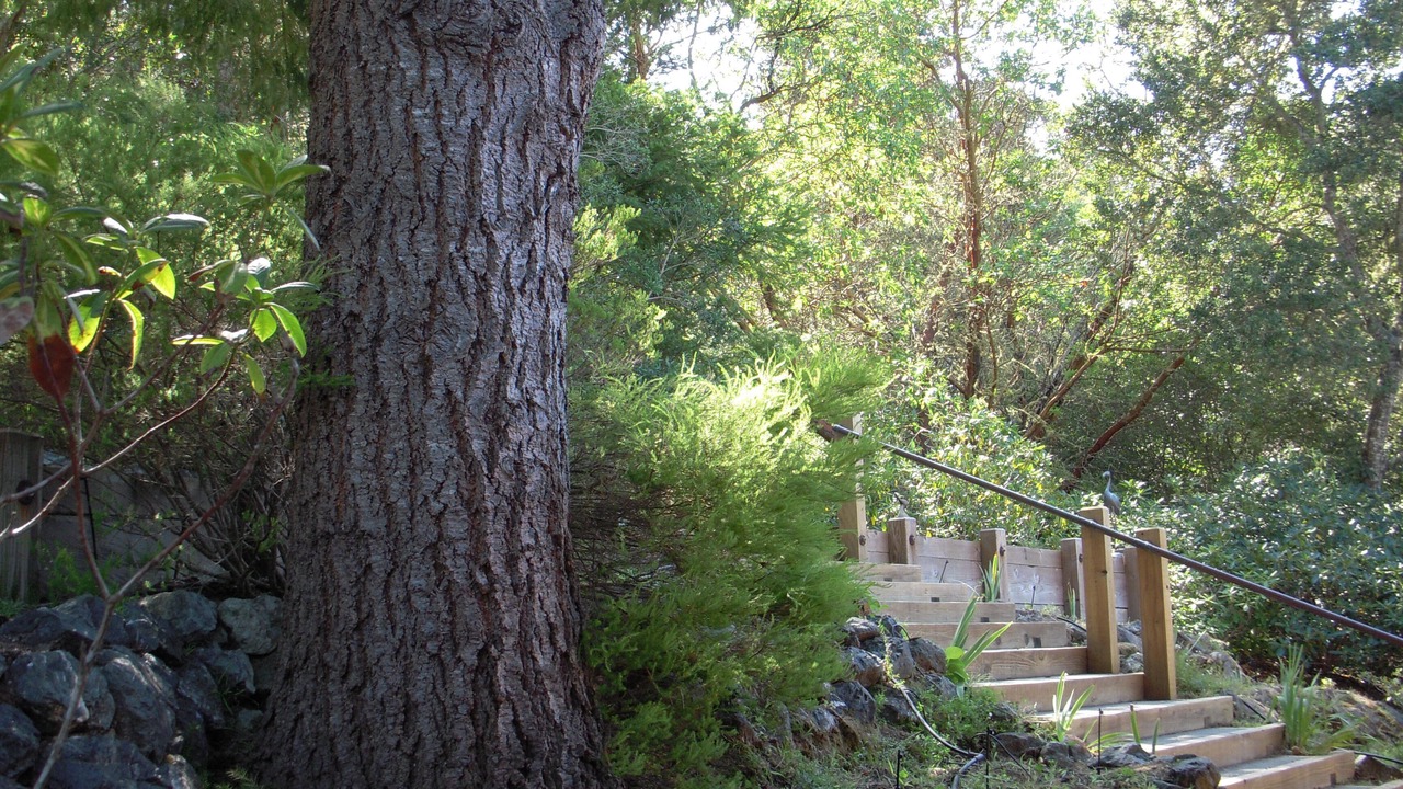 Photo of Outdoor in Point Reyes Station