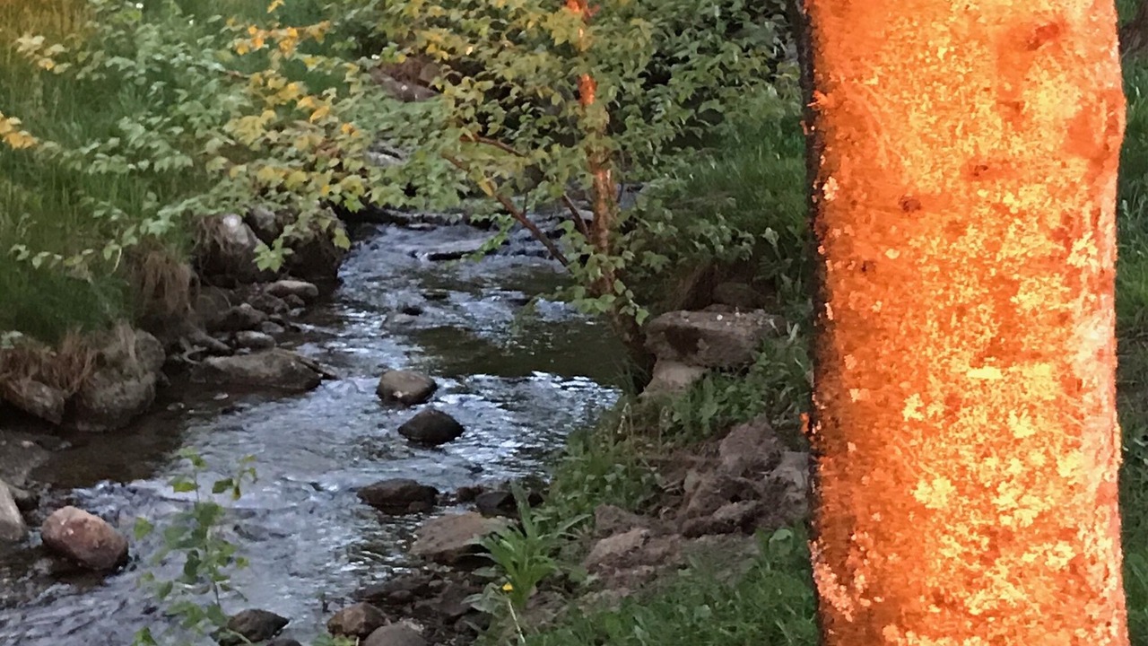 Photo of Outdoor in Notre-Dame-Auxiliatrice-de-Buckland