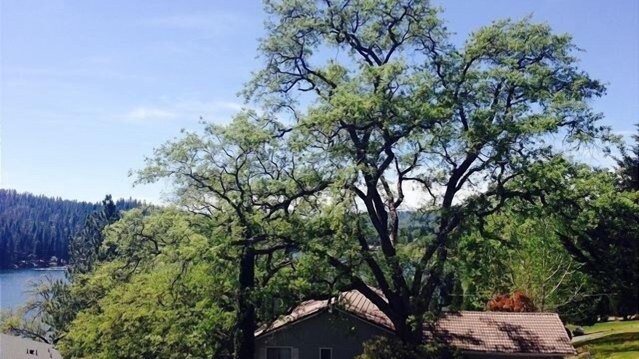Photo of Others in Groveland