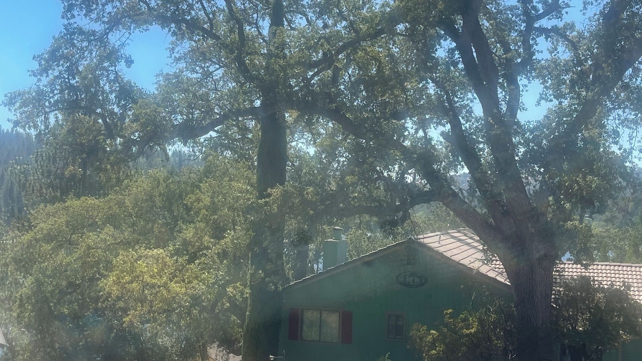 Photo of Outdoor in Groveland