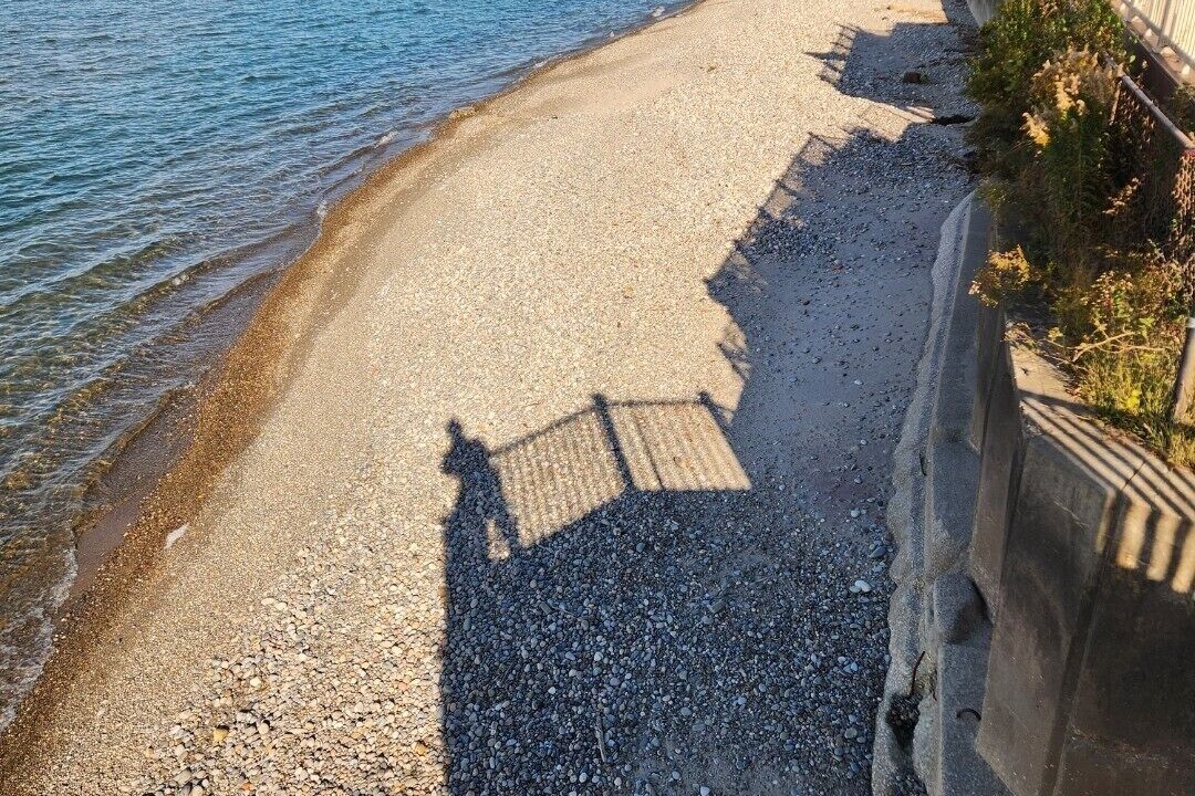 Photo of Others in Madison-on-the-Lake