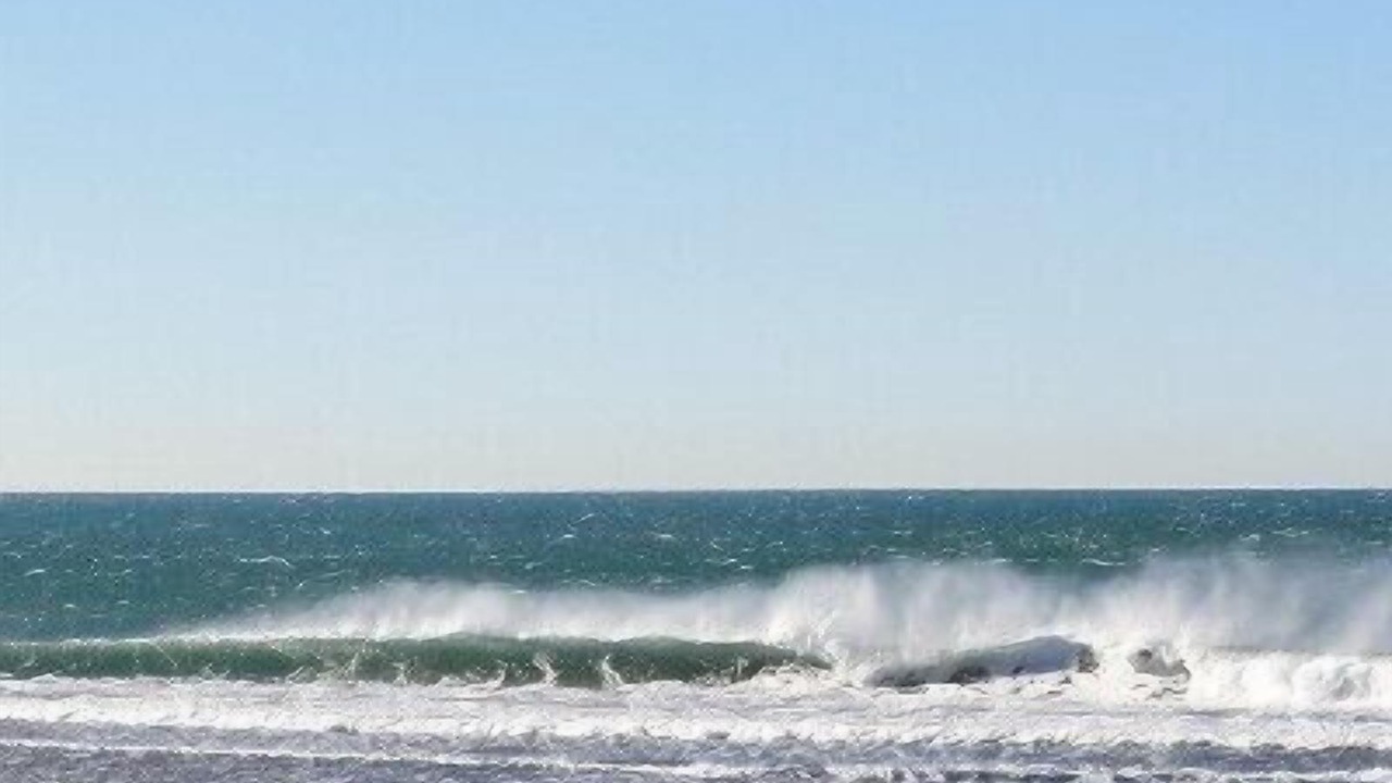 Photo of Others in Stinson Beach