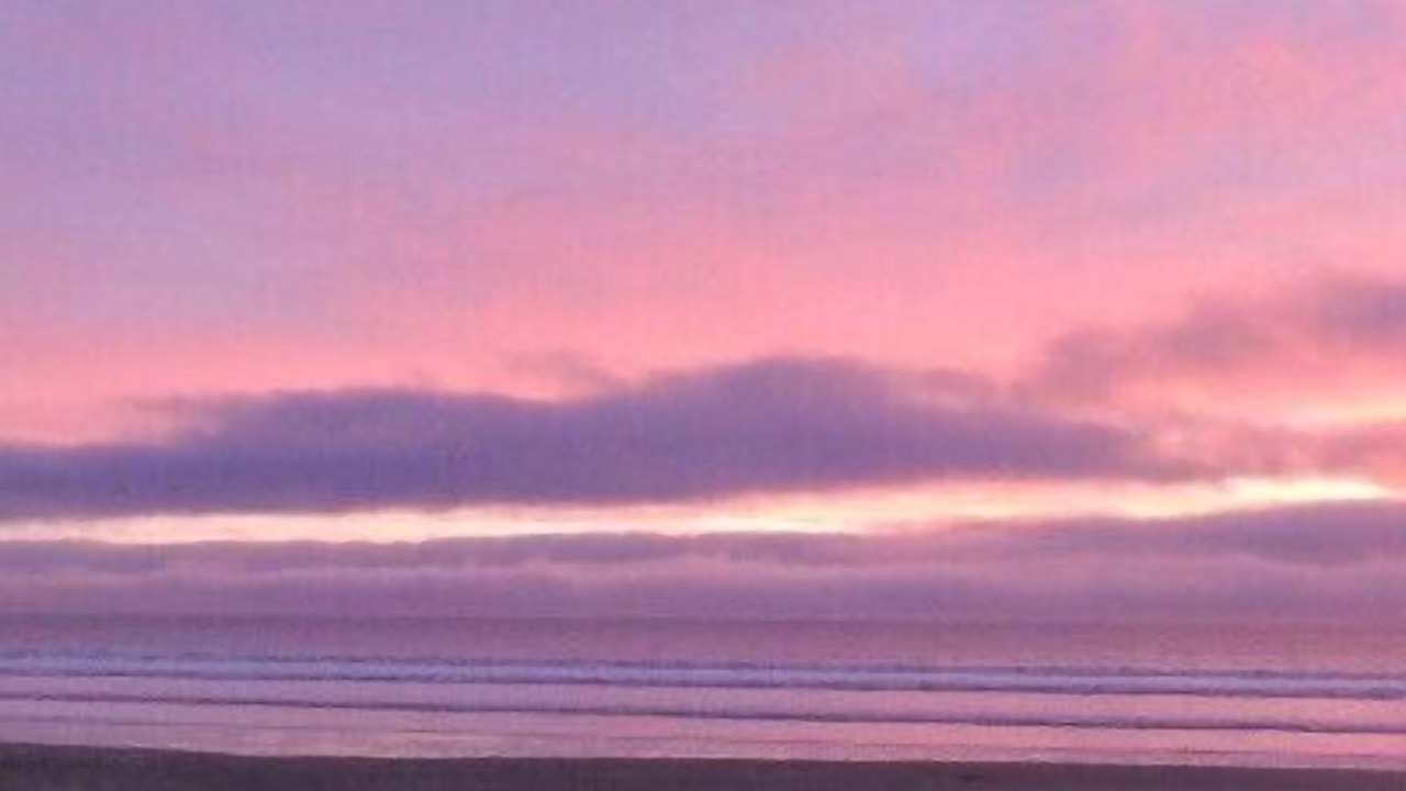 Photo of Others in Stinson Beach