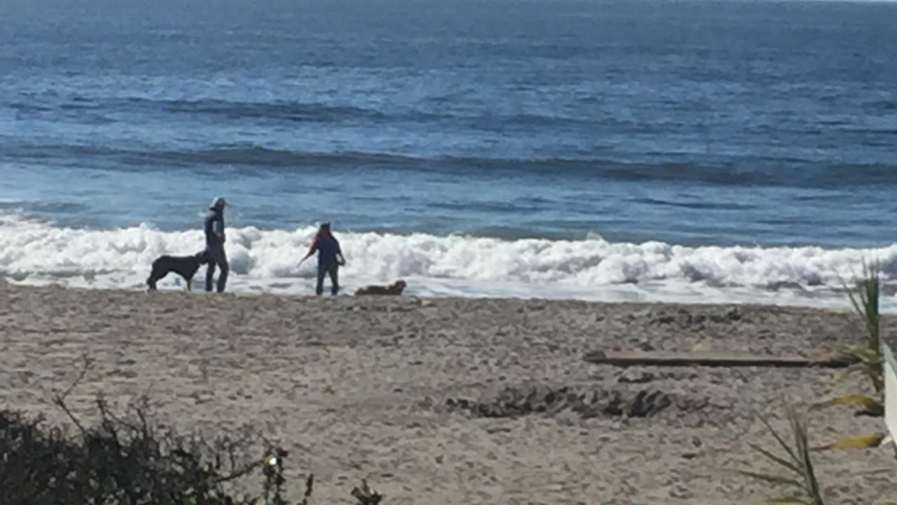 Photo of Others in Stinson Beach