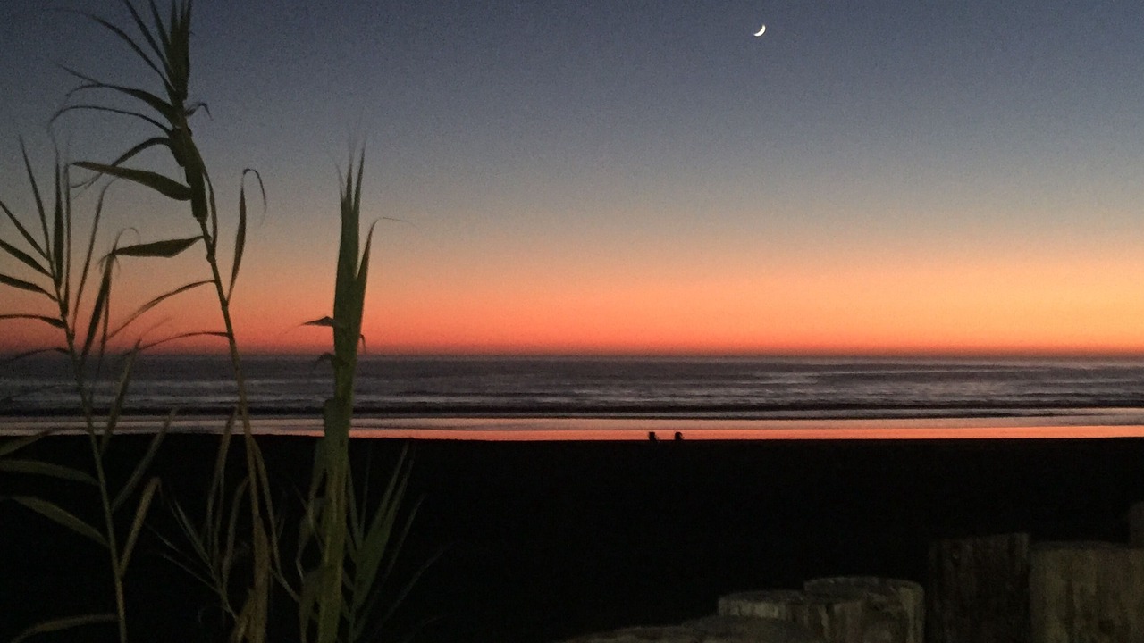 Photo of Others in Stinson Beach