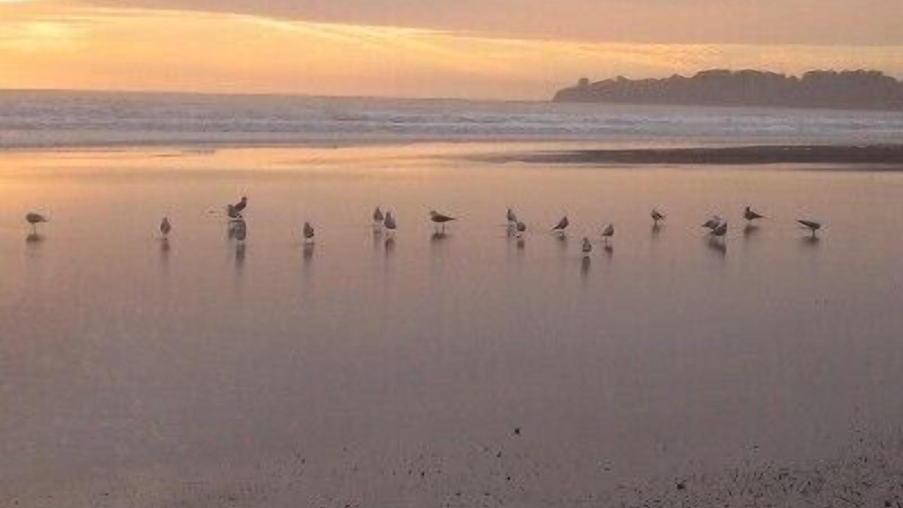Photo of Others in Stinson Beach