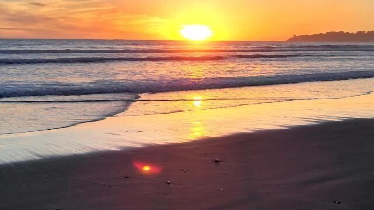 Photo of Others in Stinson Beach