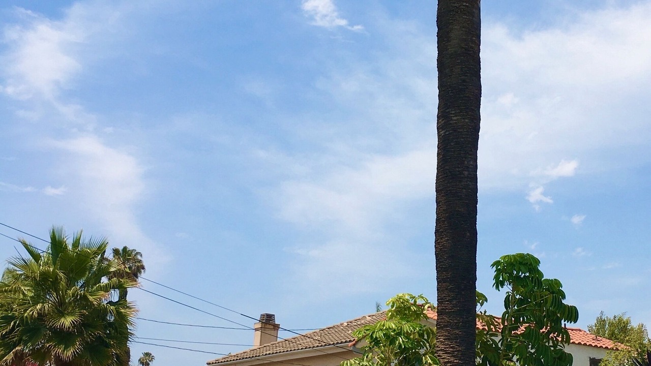 Photo of Outdoor in Northeast