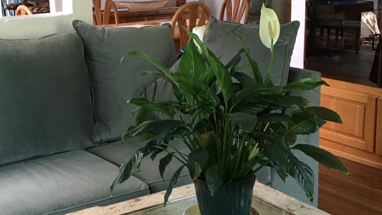 Photo of Livingroom in Northeast
