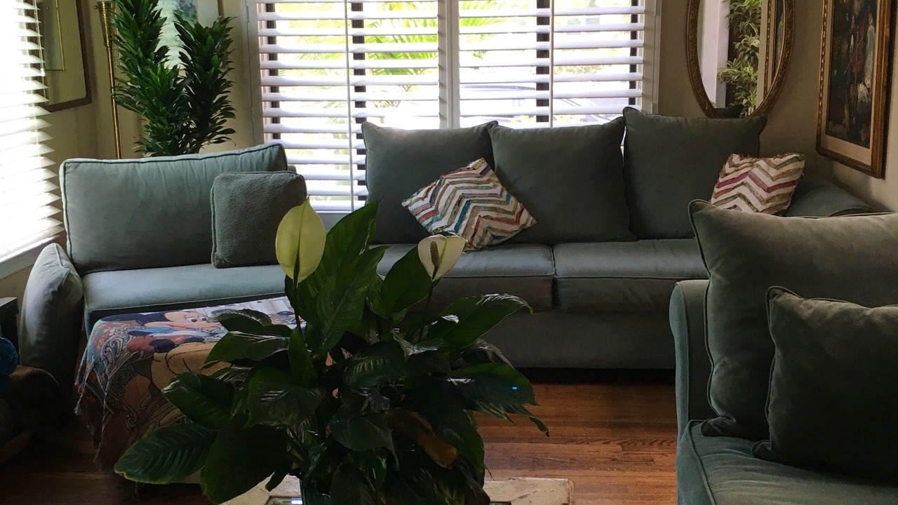 Photo of Livingroom in Northeast