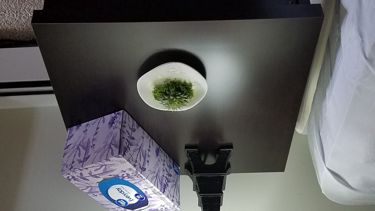 Photo of Kitchen in Constable Hook