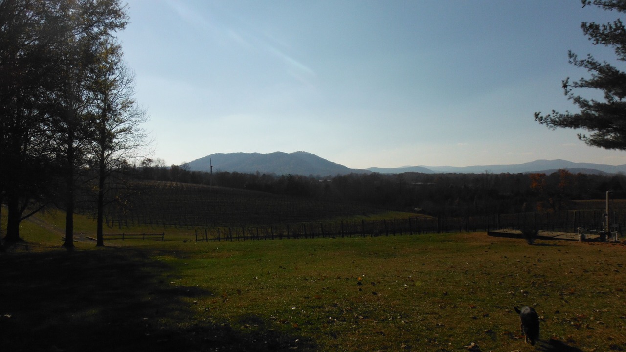 Photo of Others in Mount Airy