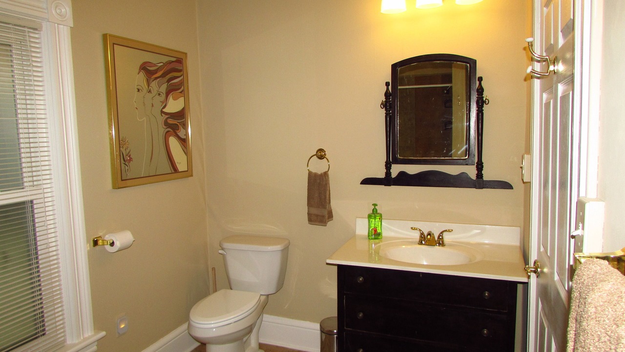 Photo of Bathroom in Downtown Niagara Falls