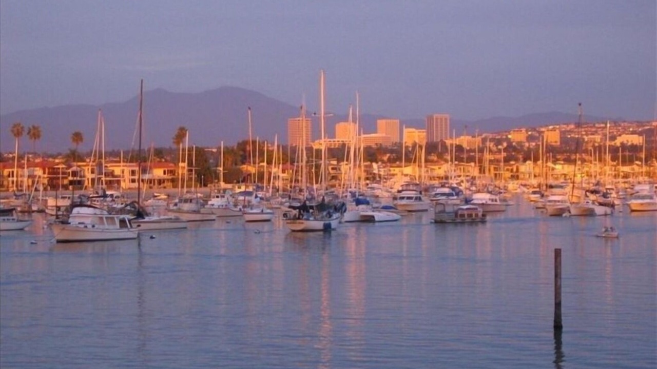 Photo of Others in West Newport