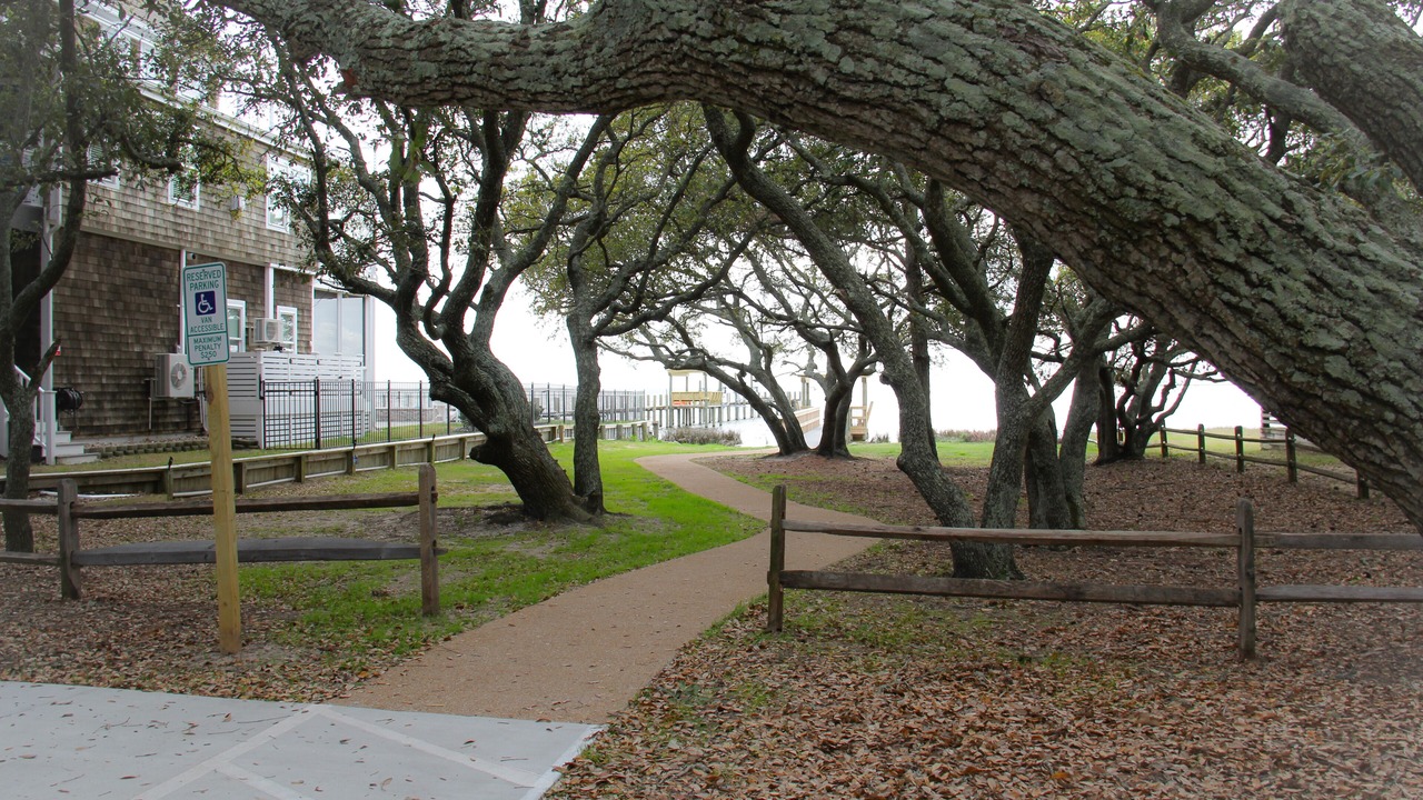 Photo of Outdoor in Colington