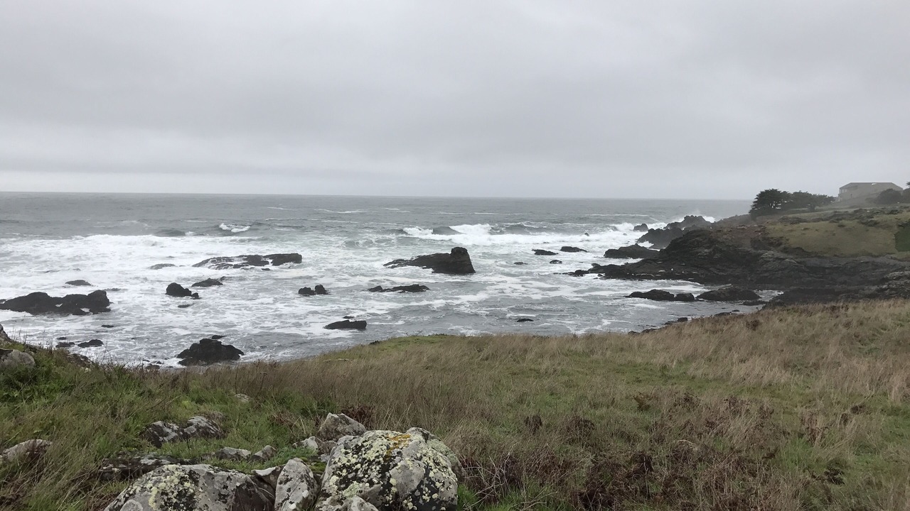 Photo of Others in Sea Ranch