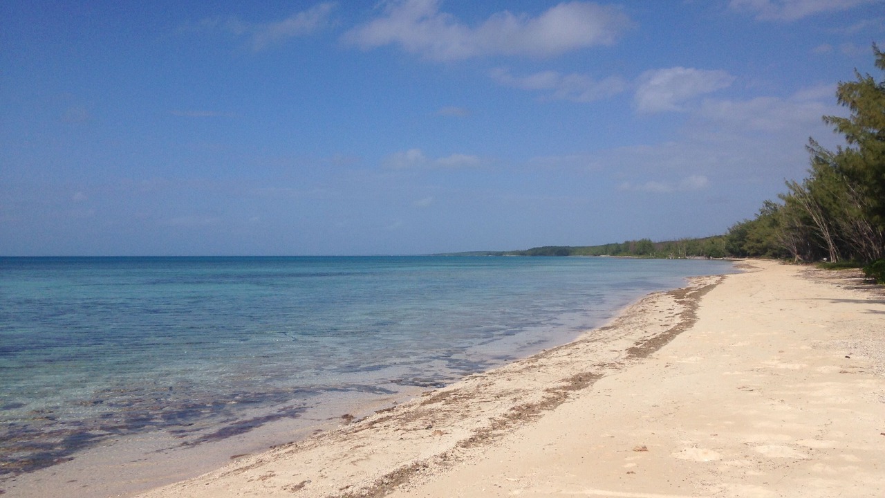 Photo of Others in Tarpum Bay