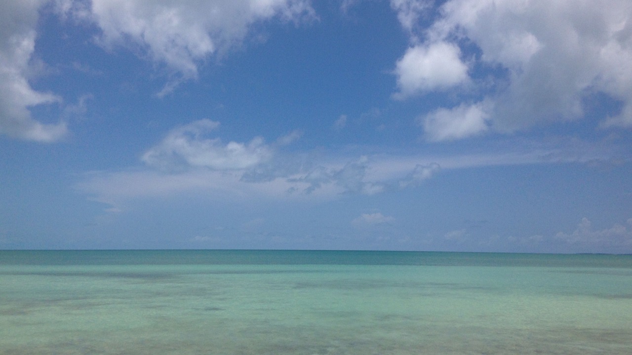 Photo of Others in Tarpum Bay