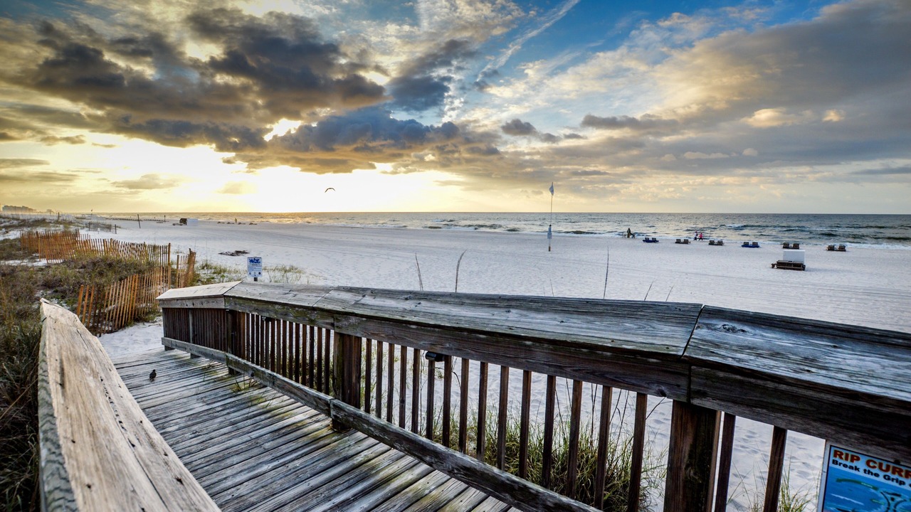 Photo of Others in Orange Beach