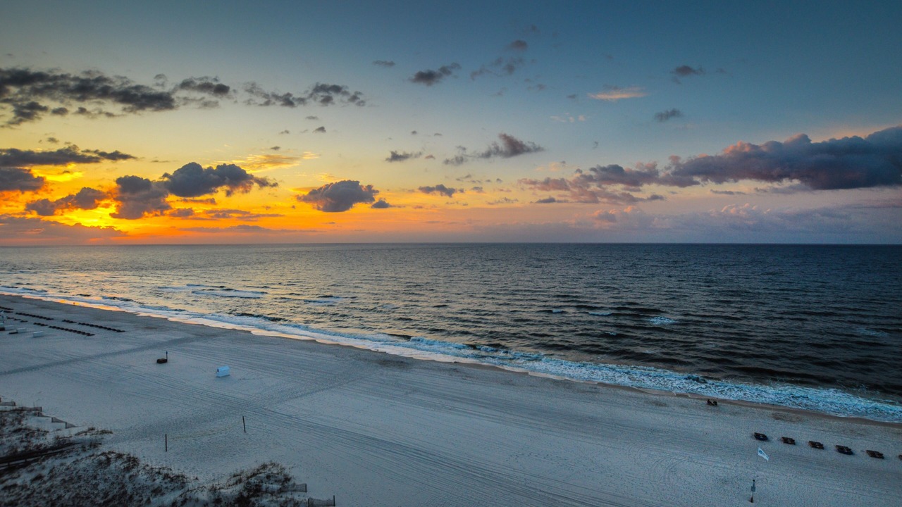 Photo of Others in Orange Beach