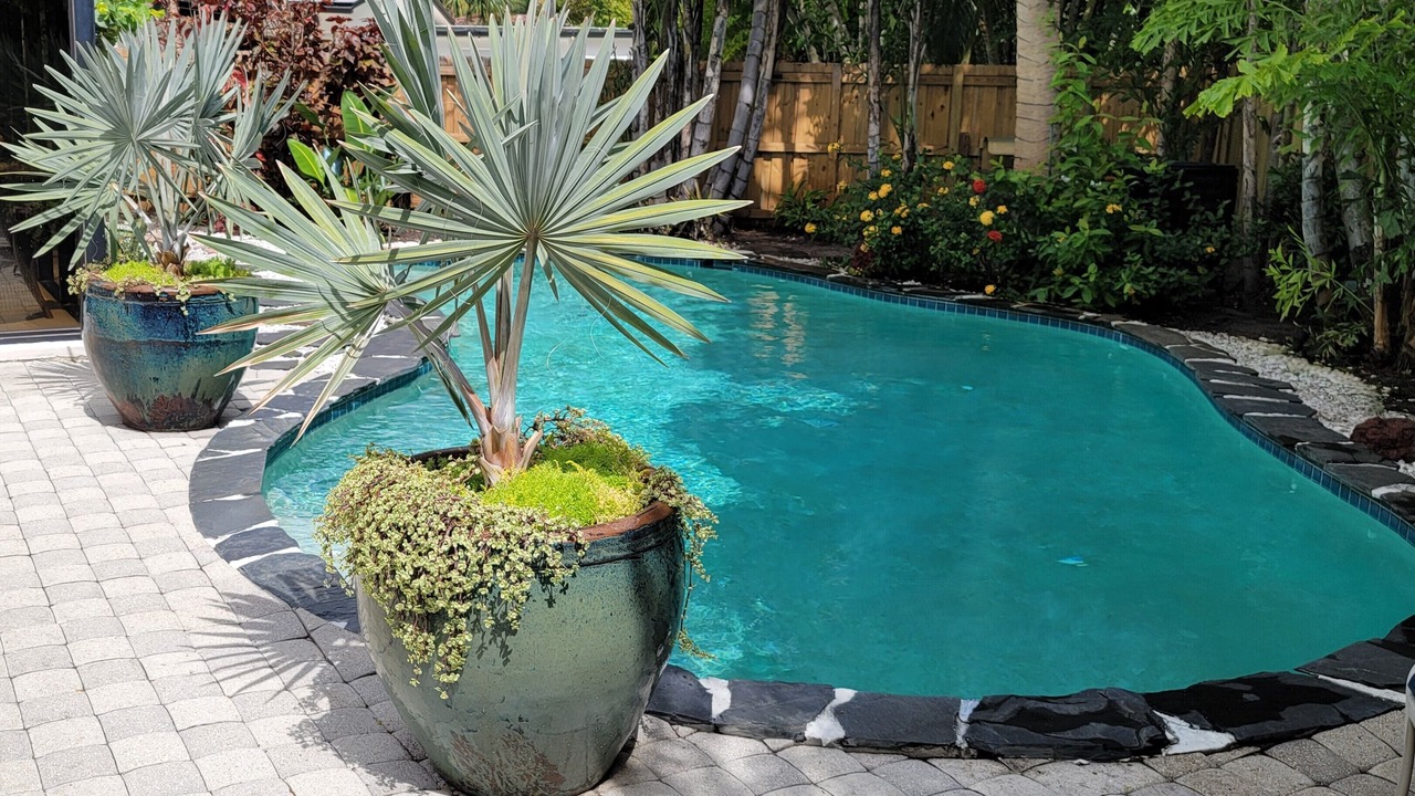 Photo of Outdoor in Wilton Manors