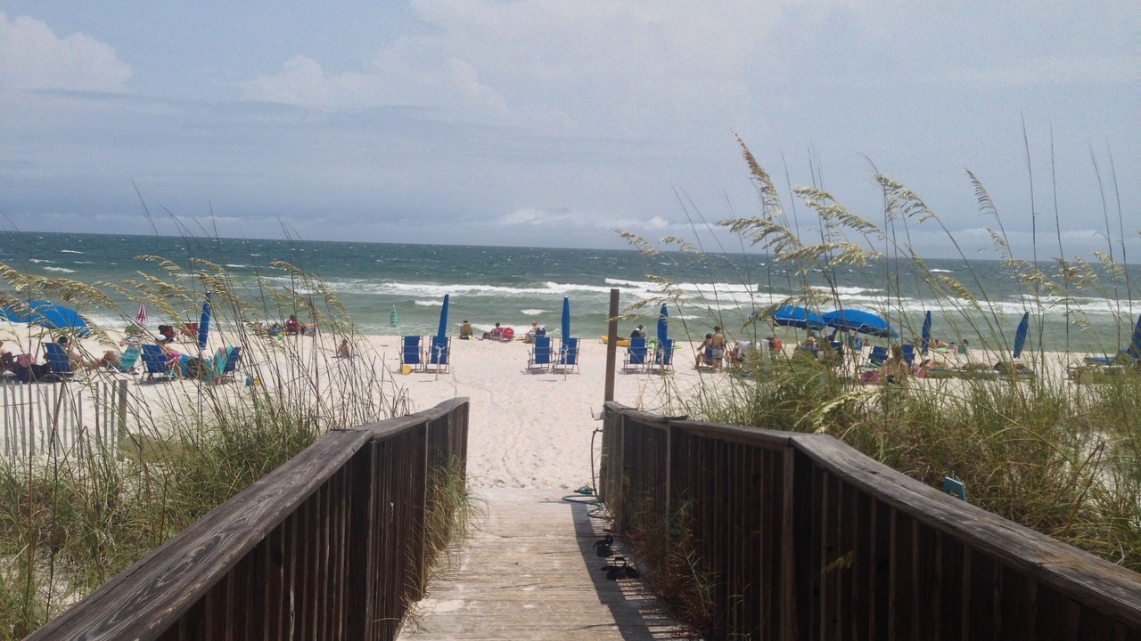 Photo of Others in Orange Beach East