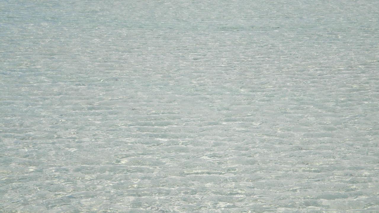 Photo of Others in Cherokee Sound