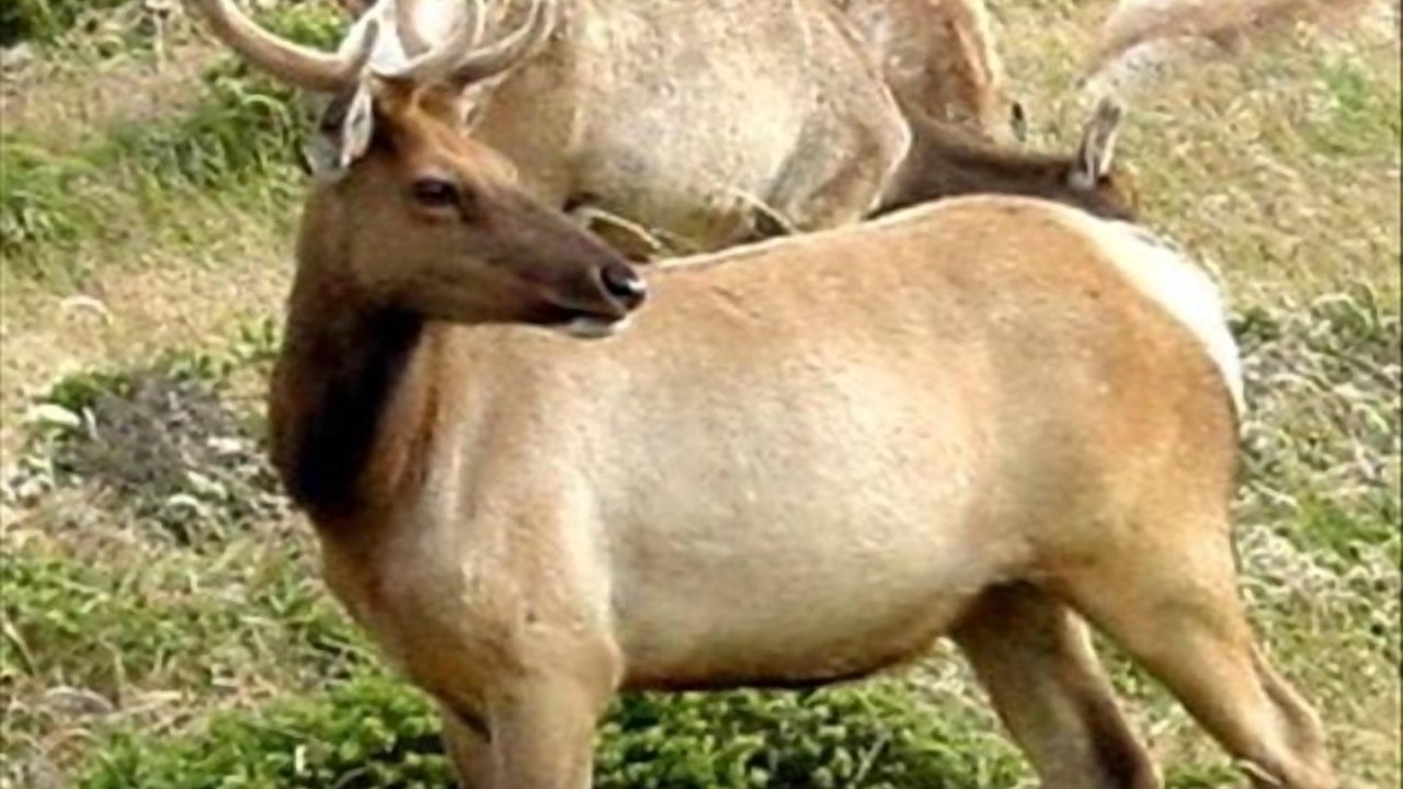 Photo of Others in Inverness