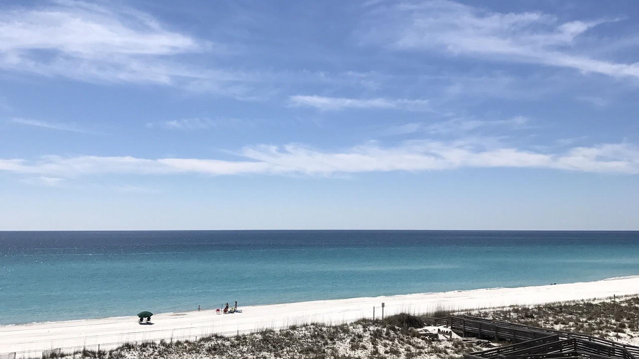 Photo of Others in Pensacola Beach