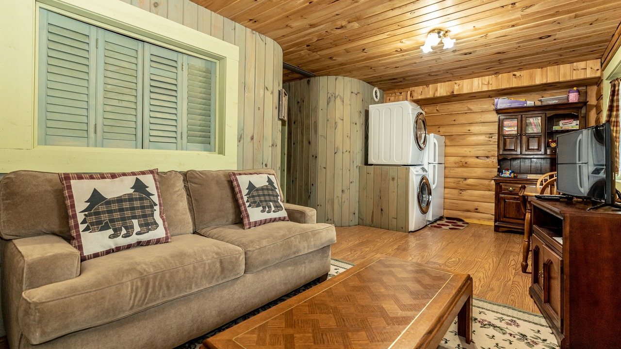 Photo of Livingroom in Hammondsport