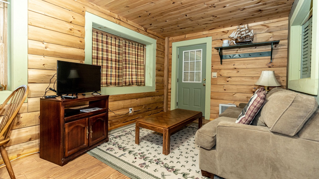 Photo of Livingroom in Hammondsport