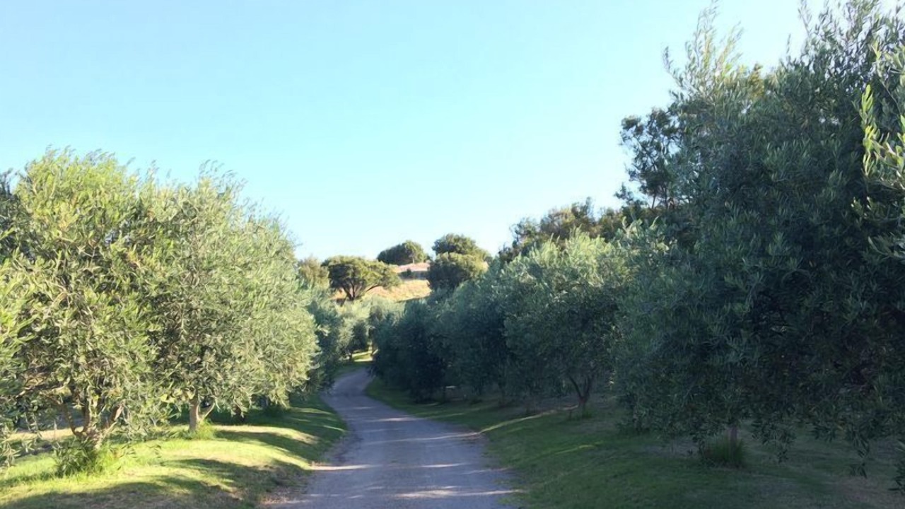 Photo of Outdoor in Fingal