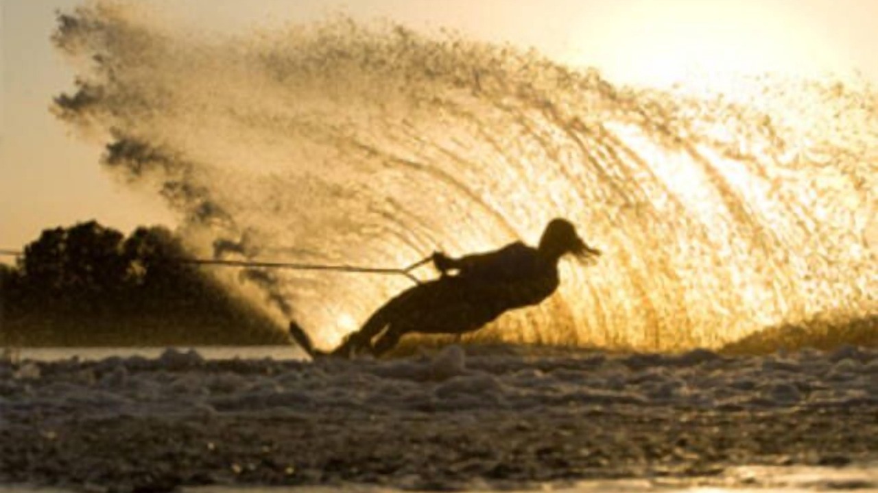 Photo of Others in Taylor Bay