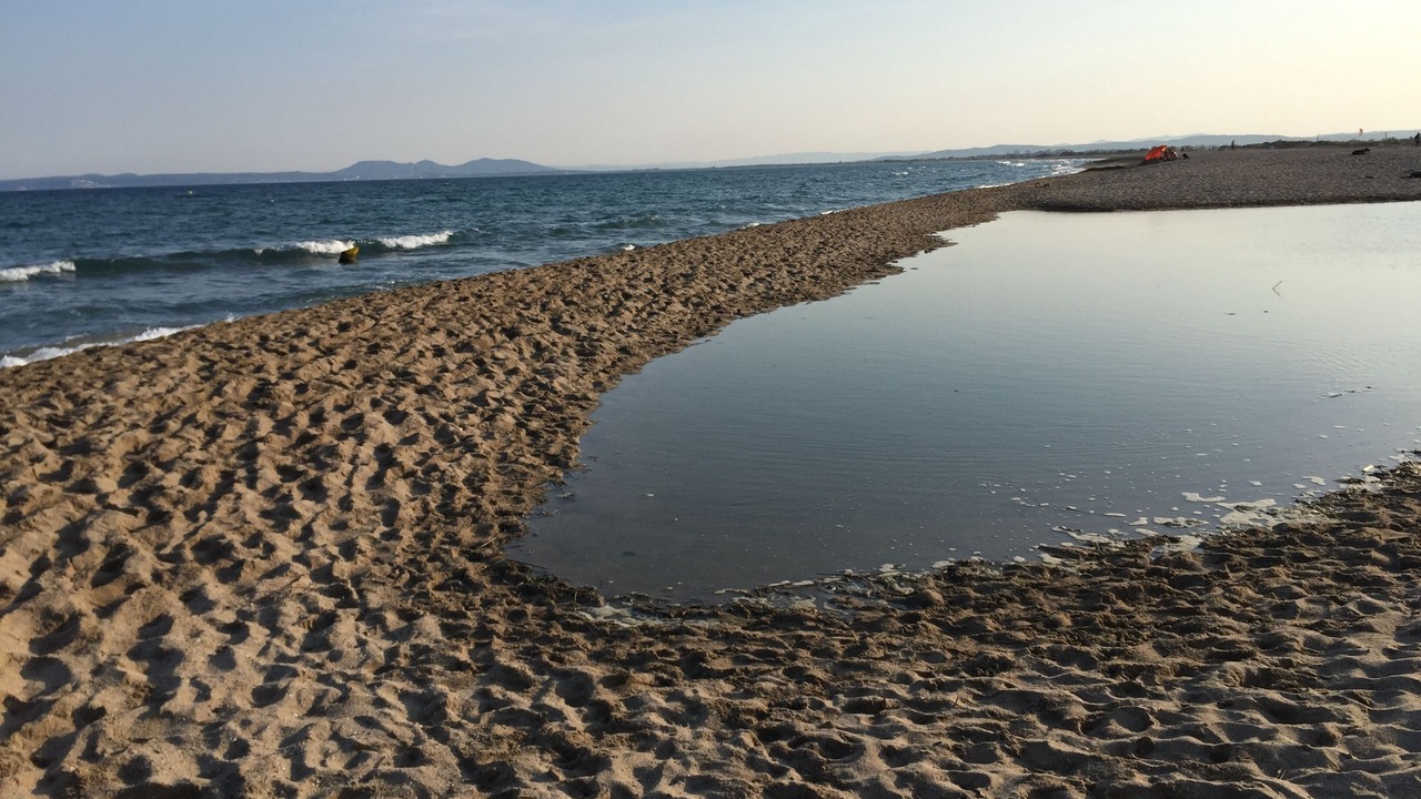 Photo of Others in Castello d'Empuries
