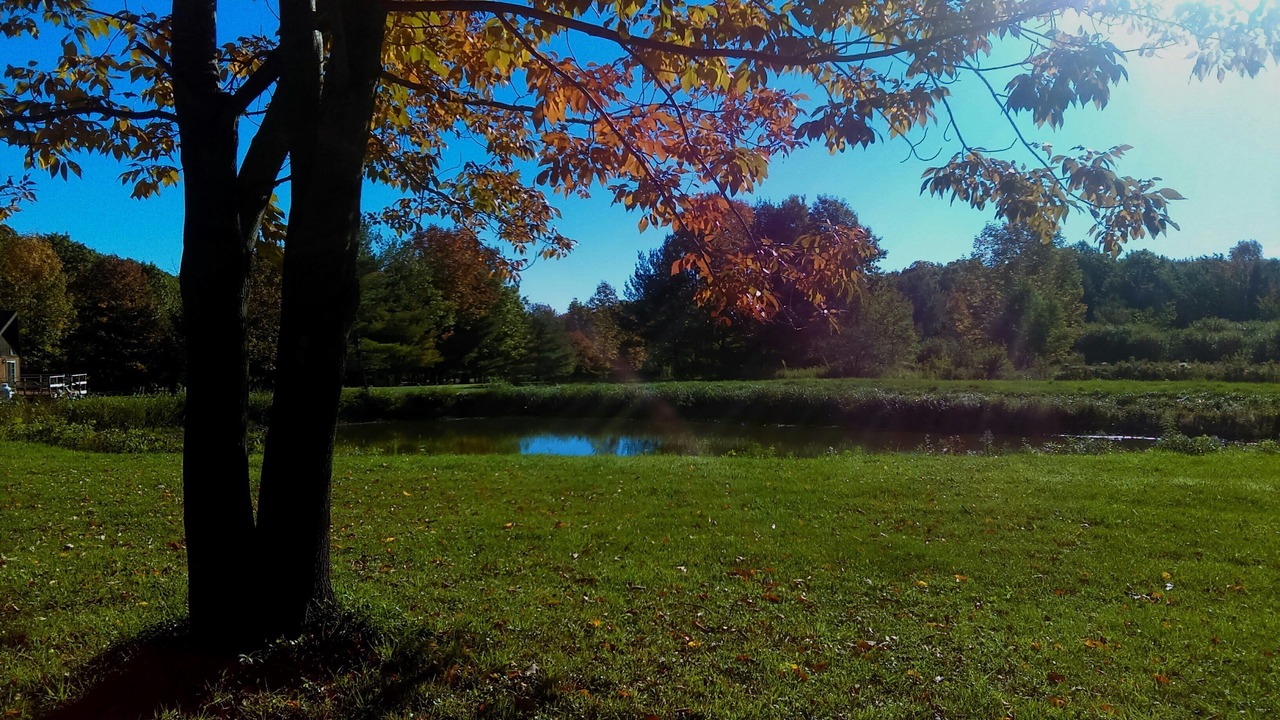 Photo of Outdoor in Branchport