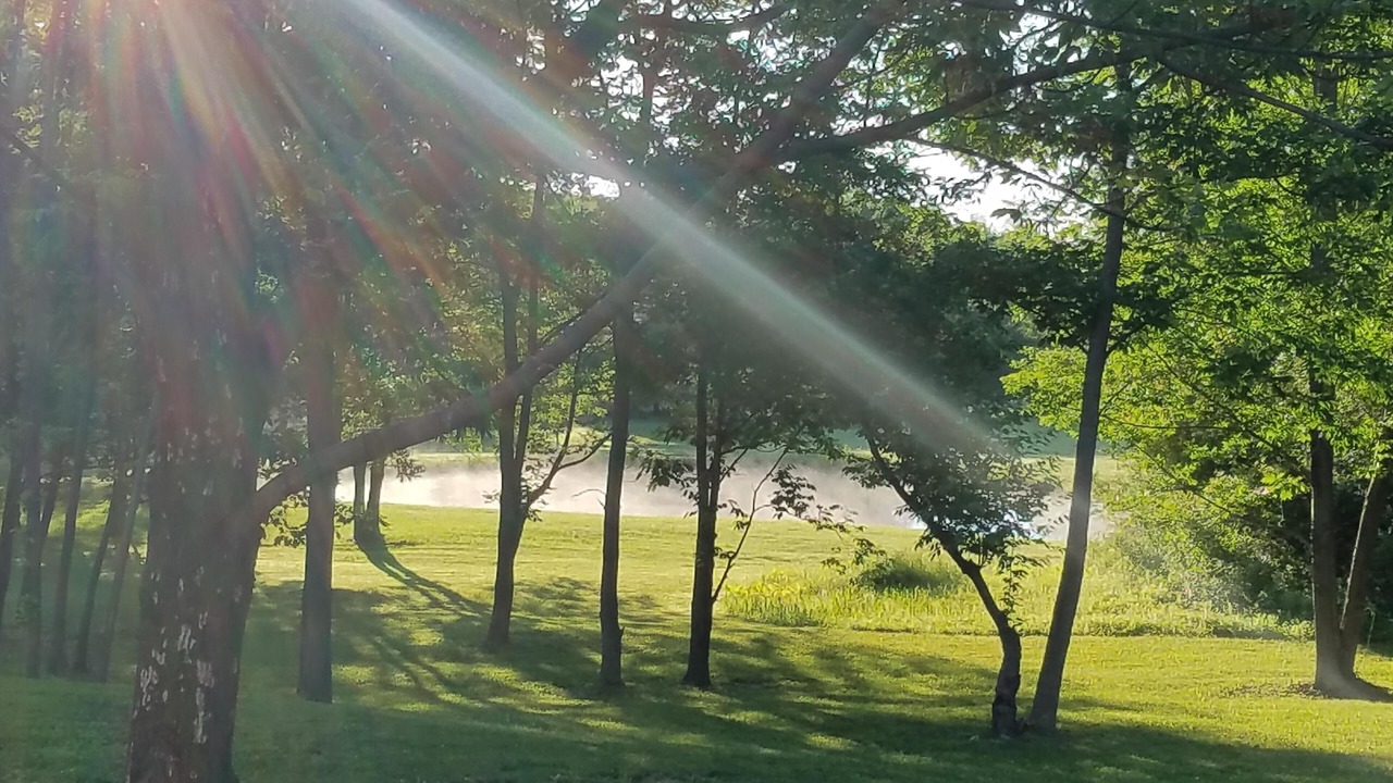 Photo of Outdoor in Branchport