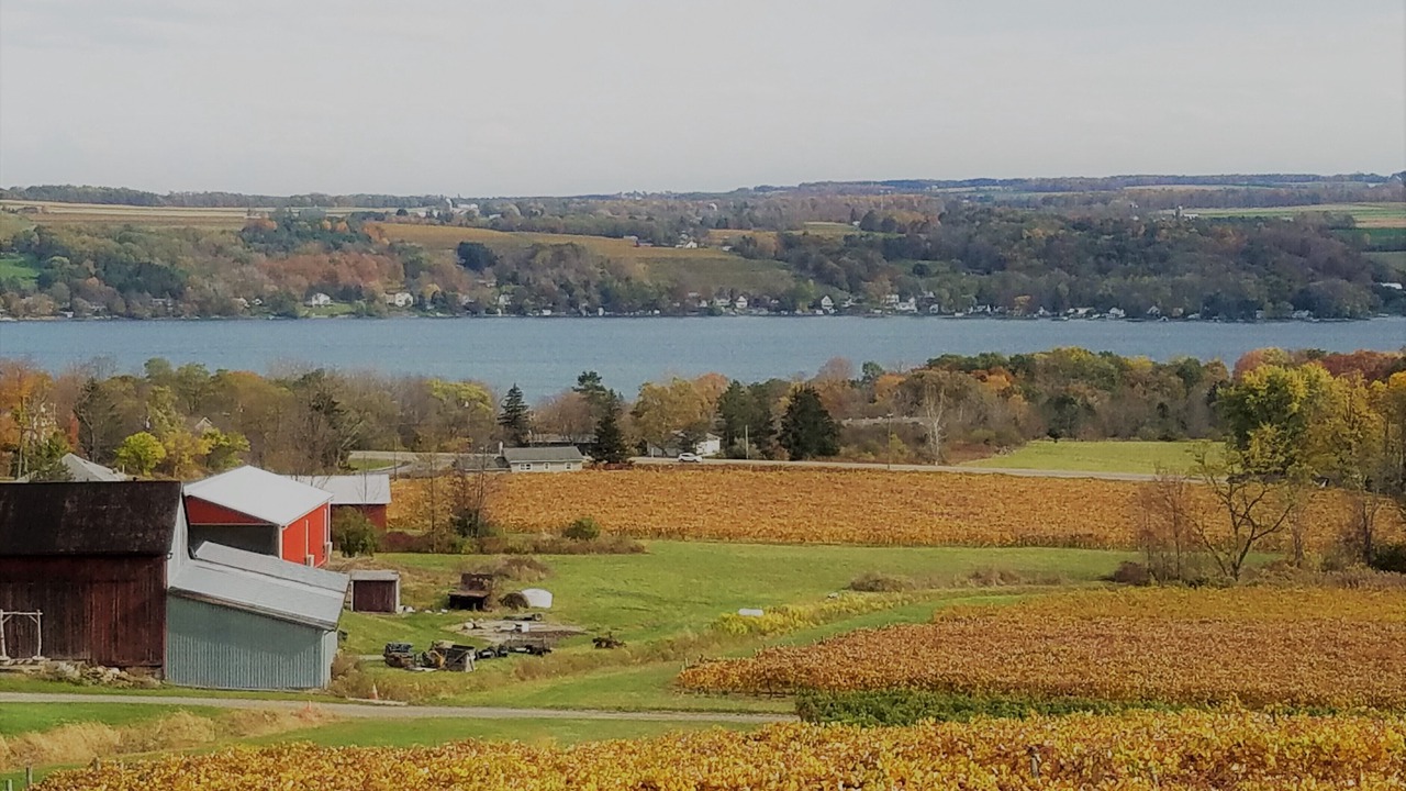 Photo of Outdoor in Branchport