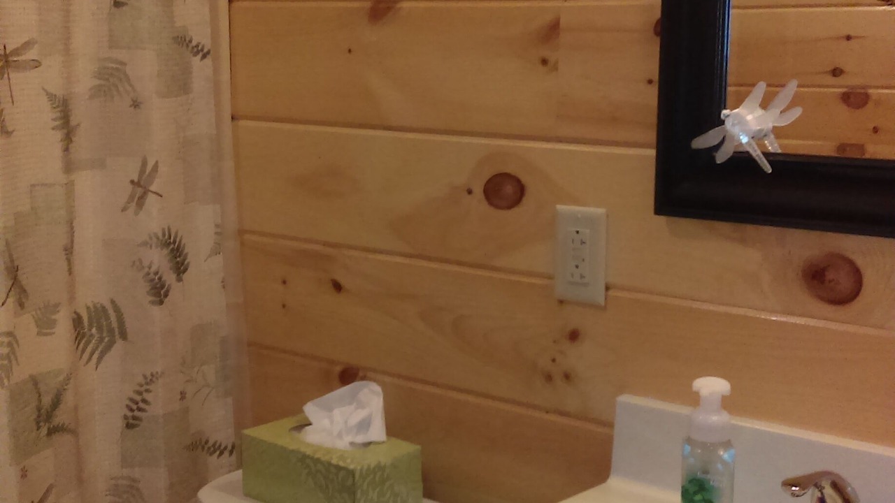 Photo of Bathroom in Branchport