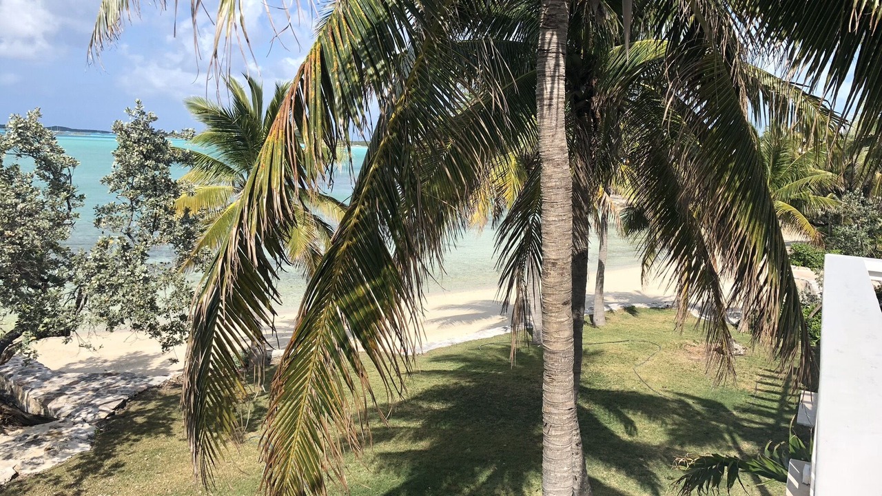 Photo of Outdoor in George Town