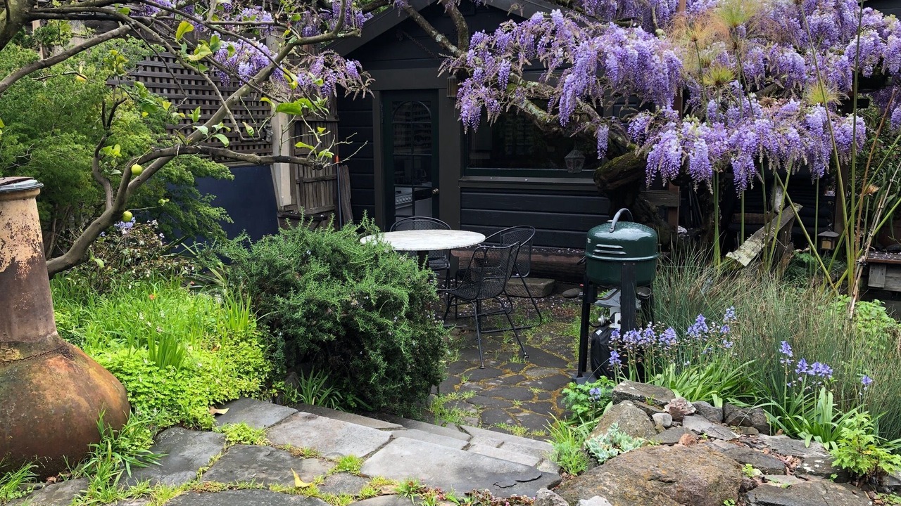 Photo of Outdoor in Alameda