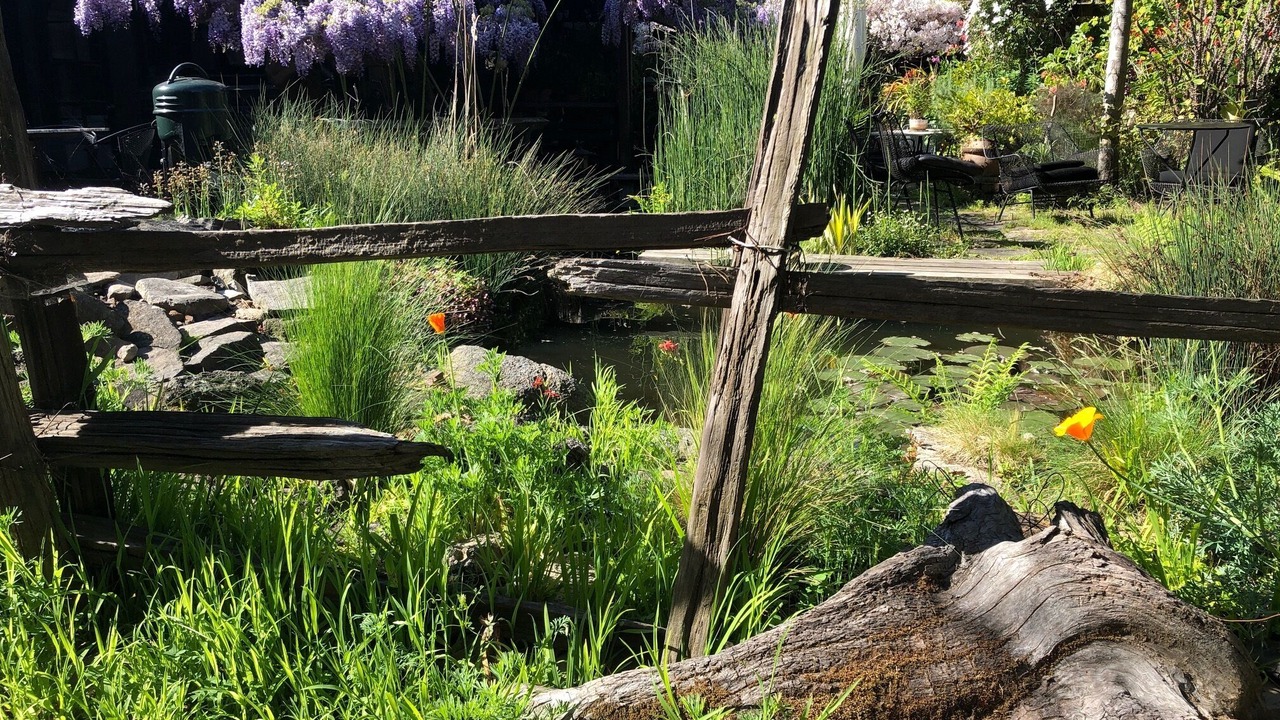 Photo of Outdoor in Alameda