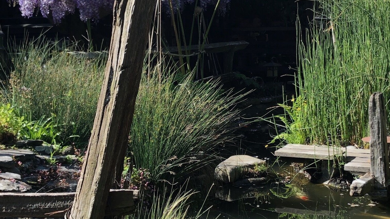 Photo of Outdoor in Alameda