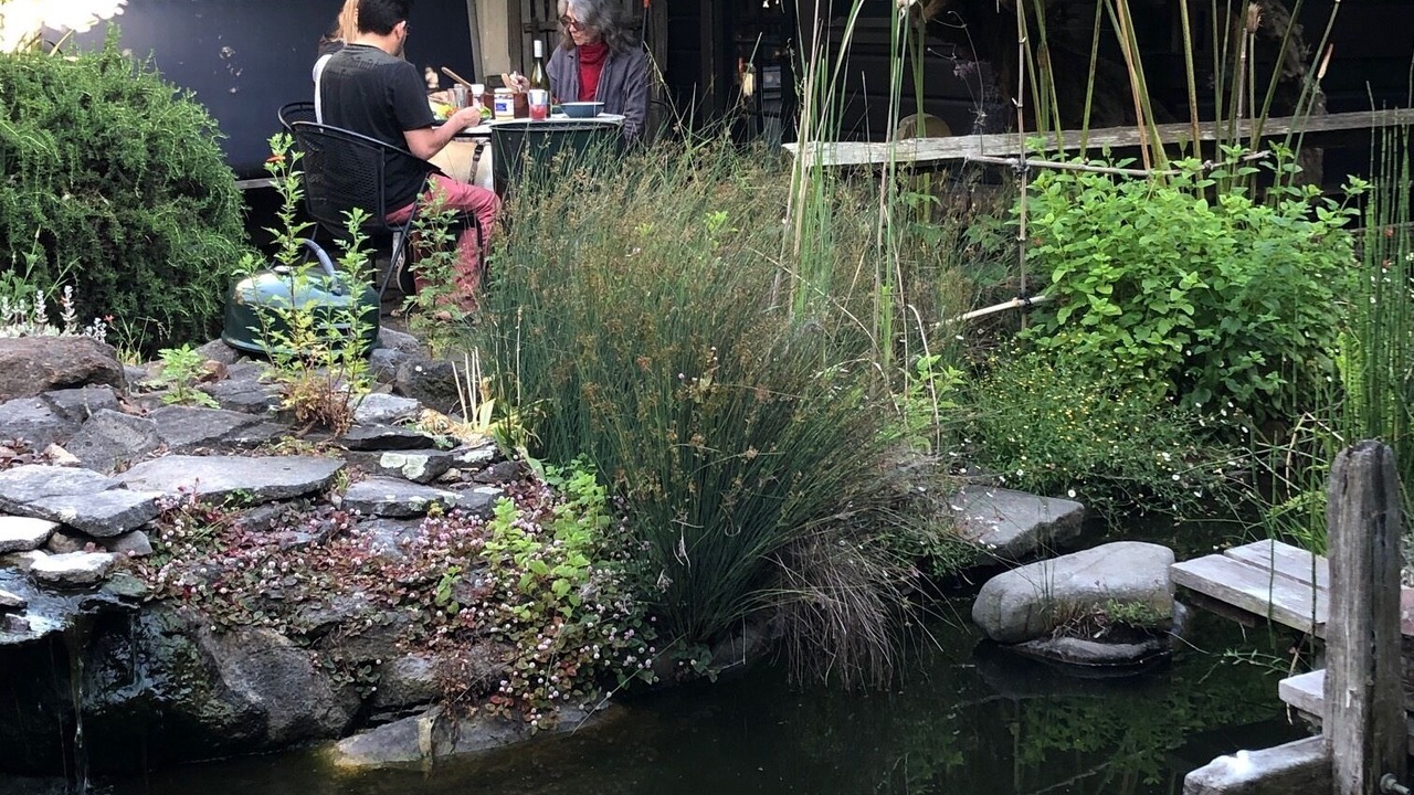 Photo of Outdoor in Alameda